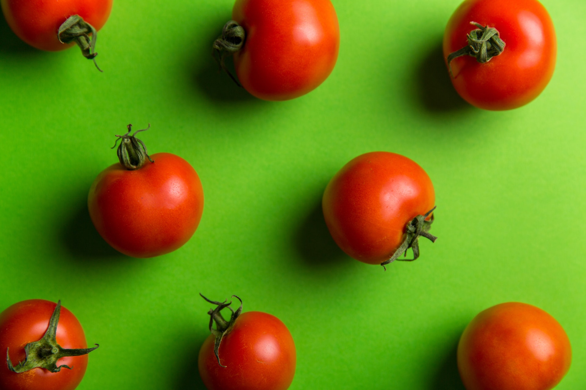 tomatoes