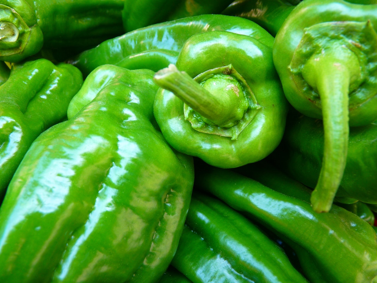 Paprika