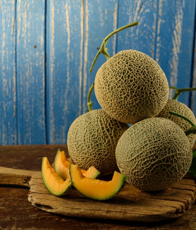 Canteloupe