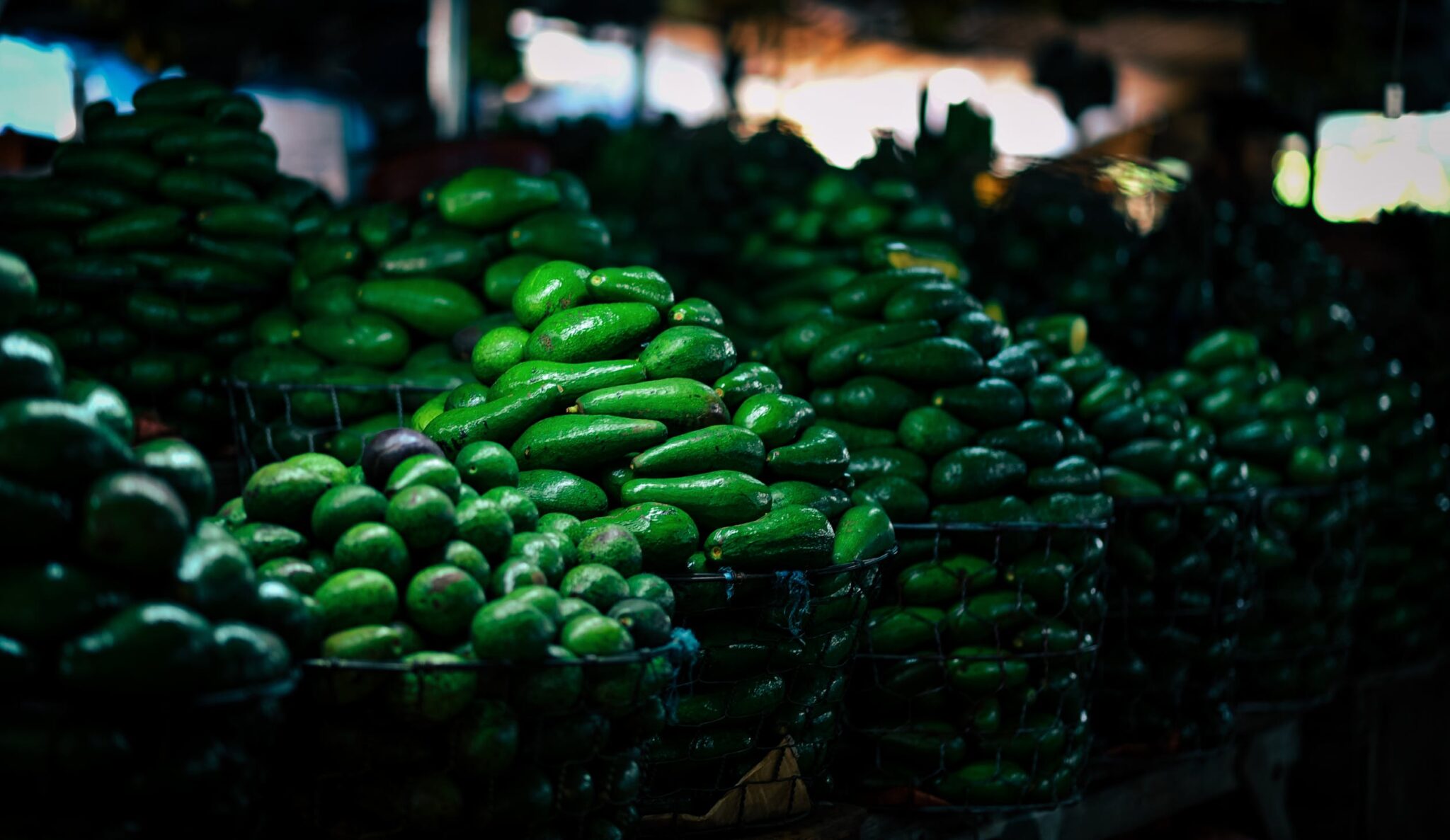 Avocado