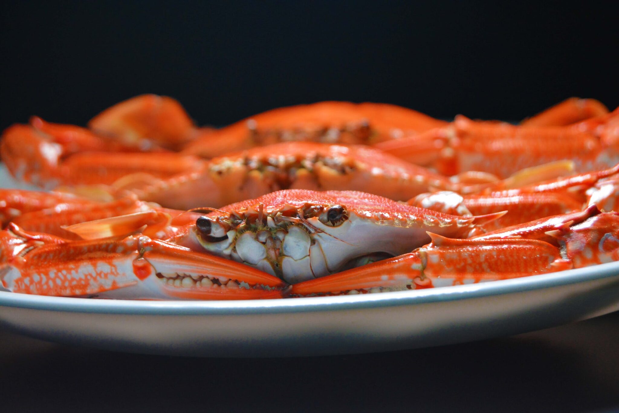 Crabs