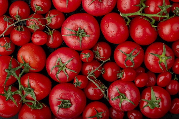 Fresh Tomatoes