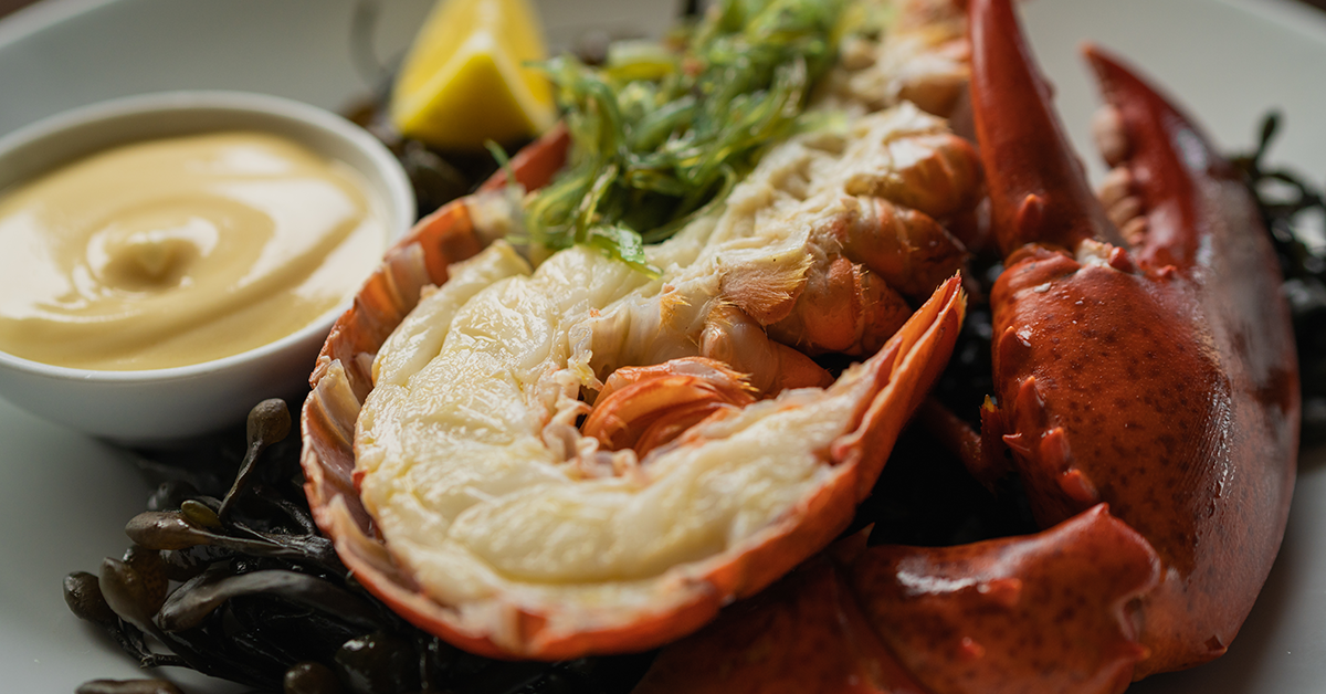 Lobster