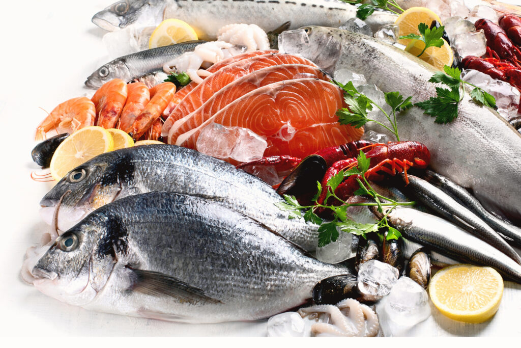 Fresh Fish 