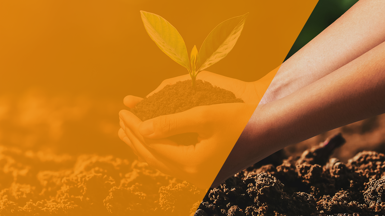 Sustainability