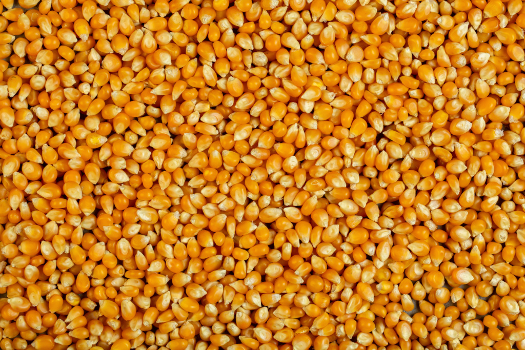 grain commodity updates from dining alliance week of february 17 2025
