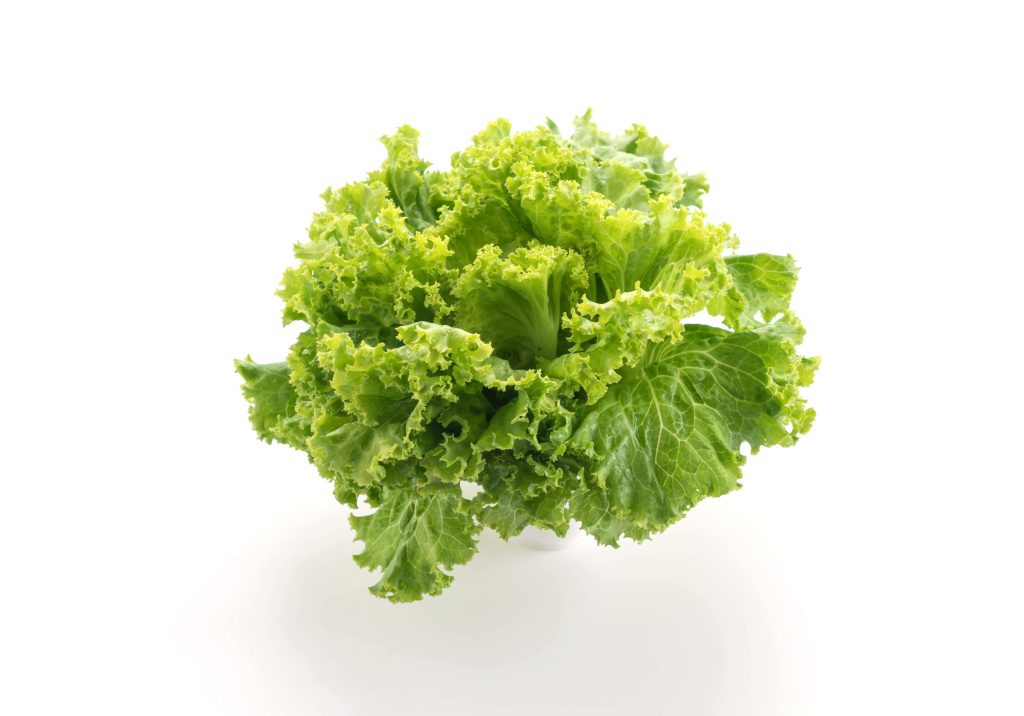 produce commodity update from dining alliance