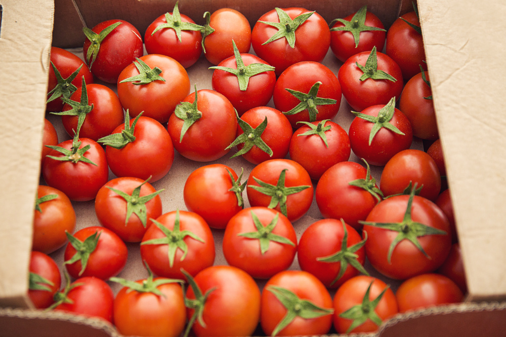 Red fresh tomatoes