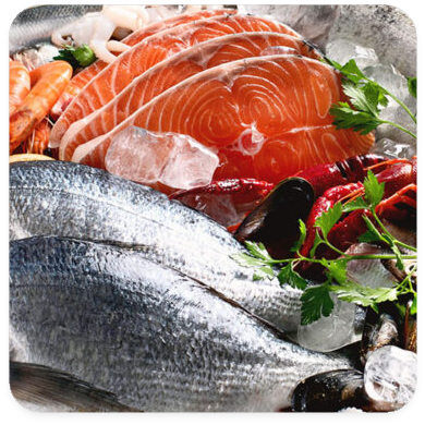 Fresh Fish