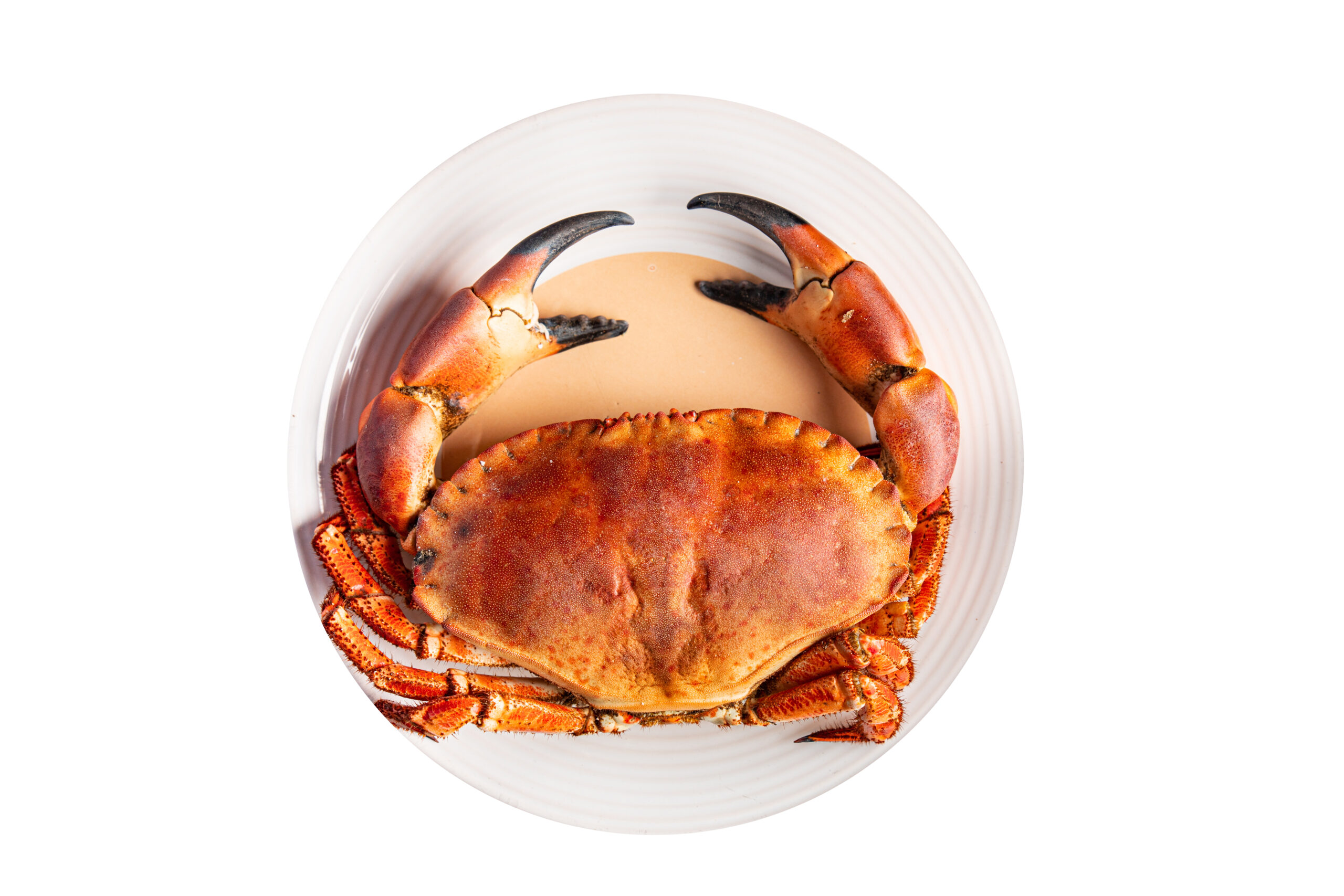 Seafood commodity update exclusively for Dining Alliance members, powered by CommodityONE